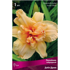 Лилейник гибридный Дабл Дрим