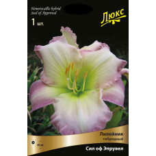 Лилейник гибридный Сил ов Эпрувел