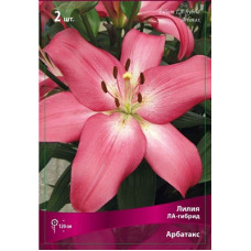 Лилия Арбатакс 