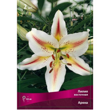 Лилия Арена 