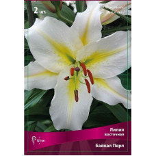 Лилия Байкал Перл