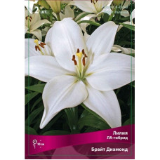Лилия Брайт Даймонд (ЛА-гибрид)
