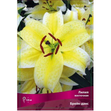Лилия Брейк-Данс (восточная)