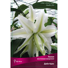 Лилия Дабл Крис