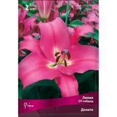 Лилия Донато (ОТ-гибрид)