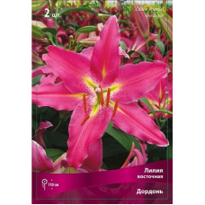 Лилия Дордонь (восточная)