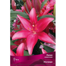 Лилия Эльградо