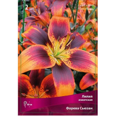 Лилия Форевер Сьюзан (азиатская)