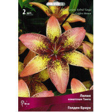 Лилия Голден Браун (азиасткая Танго)