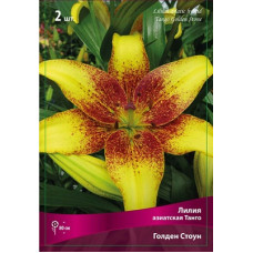 Лилия Голден Стоун (азиасткая Танго)