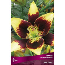 Лилия Изи Данс (азиатская Танго)