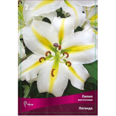 Лилия Легенда (восточная)