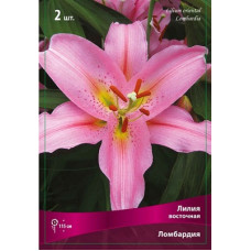 Лилия Ломбардия 