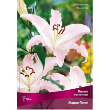 Лилия Марко Поло