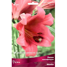 Лилия Мияби (Лонгифлорум) 