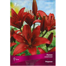 Лилия Нероне (азиатская)