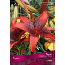 Лилия Олина (азиатская Танго)