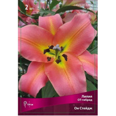 Лилия Он Стейдж (ОТ-гибрид)