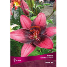 Лилия Пепл Ай (азиасткая Танго)