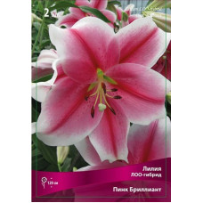 Лилия Пинк Бриллиант (ЛОО-гибрид)