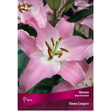 Лилия Пинк Секрет