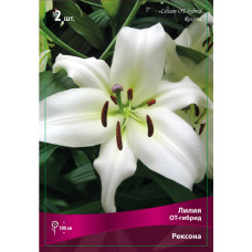 Лилия Рексона