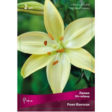 Лилия Роял Фэнтези (ЛА-гибрид)