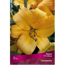 Лилия Салтарелло