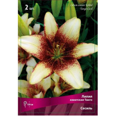 Лилия Сесиль (азиатская Танго)