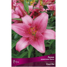 Лилия Спот Он (азиатская  Танго)