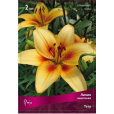 Лилия Тату (азиатская)