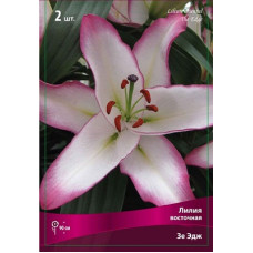 Лилия Зе Эдж