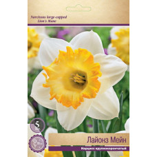 Нарцисс Лайонз Мейн