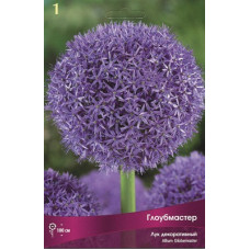 Лук декоративный Глоубмастер