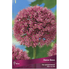 Лук декоративный Люси Болл