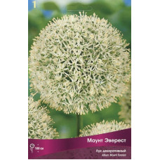 Лук декоративный Маунт Эверест