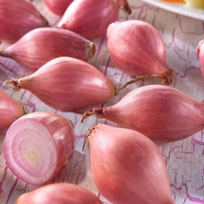 Лук-севок Розанна, 0.5 кг