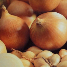 Лук-севок Радар (0.5 кг)