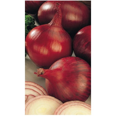 Лук-севок Ред Семко (0.5 кг)