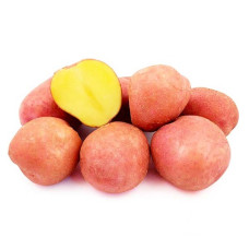 Картофель семенной Беллароза (сетка 3 кг)