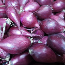 Лук-севок Кармен (0,5 кг)