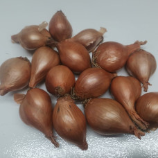 Лук-севок шалот Розовый 0.5 кг