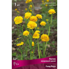 Лютик махровый едкий Голд Роуз 