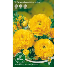 Лютик Йеллоу