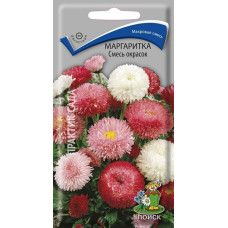 Маргаритка Смесь окрасок