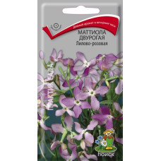 Маттиола двурогая Лилово-розовая