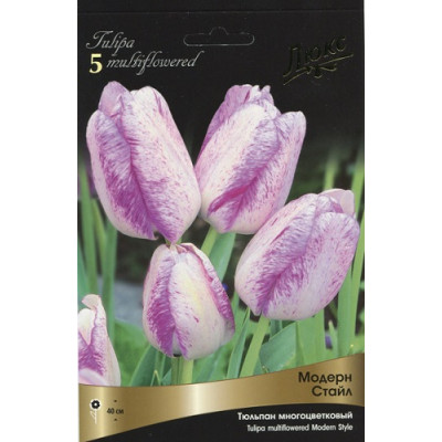 Тюльпан Модерн Стайл  (многоцветковый)