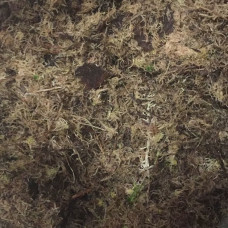 Мох болотный (сфагнум) высушенный, 60 л