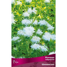 Монарда гибридная Шнеевитхен