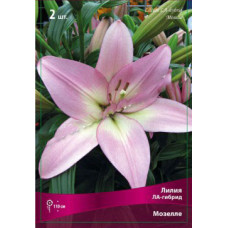 Лилия Мозелле (ЛА-гибрид)